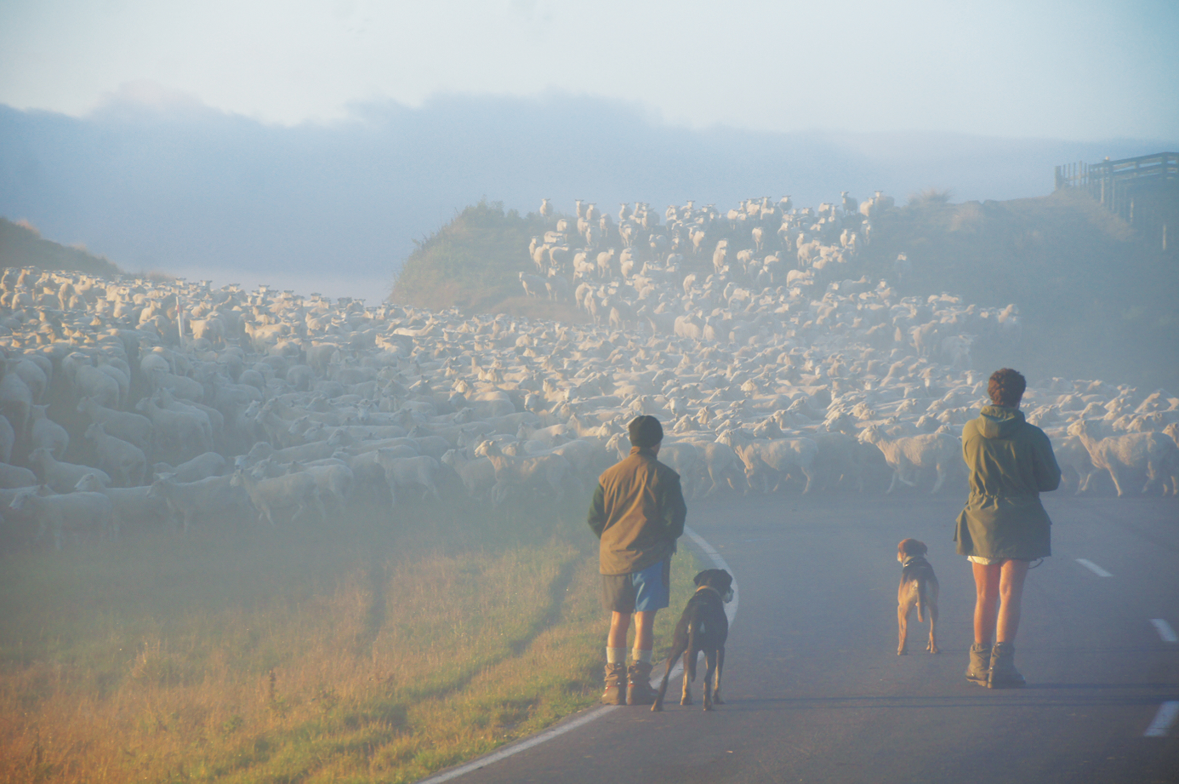 2017-Federated-Farmers-Rural Photographer-of-the-Year-Otupae-Roadblock  Williams